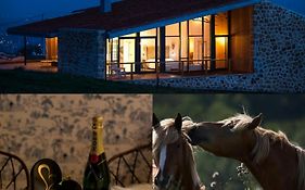 Niditas Suites&Horses